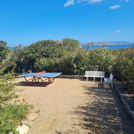 Boat - In Front Of The Sea